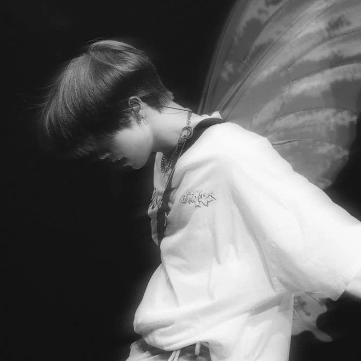 Han Jisung (fairy 🧚🏻‍♀️) thumbnail