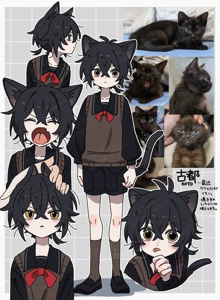 Koto - papa addition  thumbnail