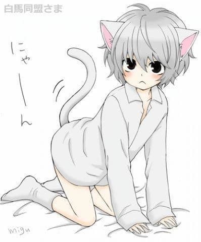Cat femboy thumbnail