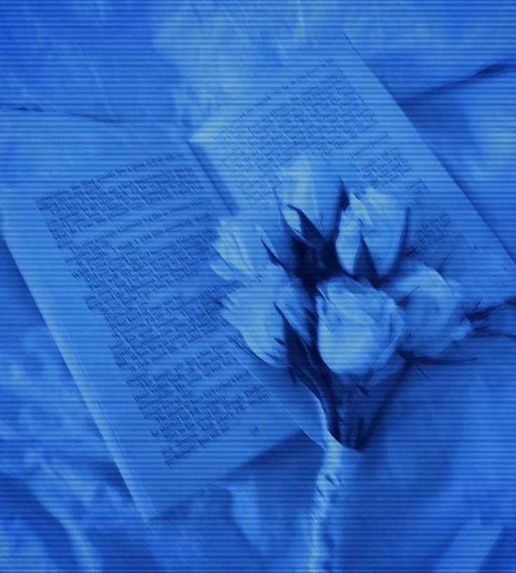 CREATE YOUR STORY thumbnail
