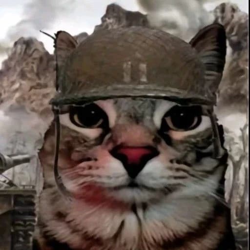 Cats kingdom thumbnail