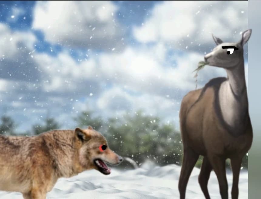 Wolf x dera thumbnail