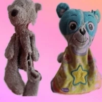 Teddy thumbnail