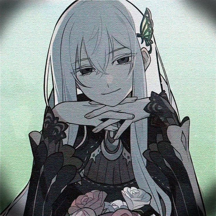 Echidna thumbnail