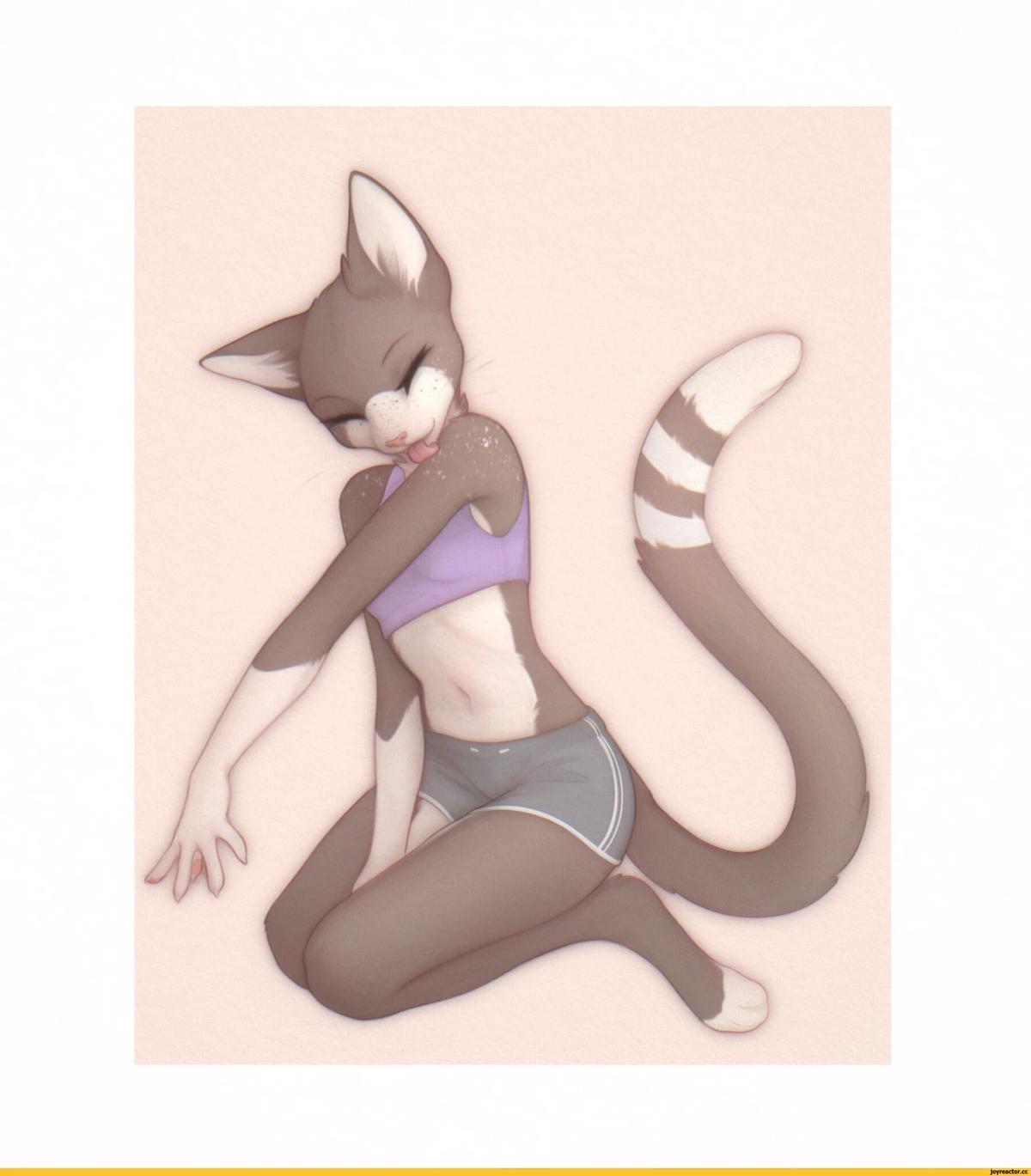 Furry cat. thumbnail