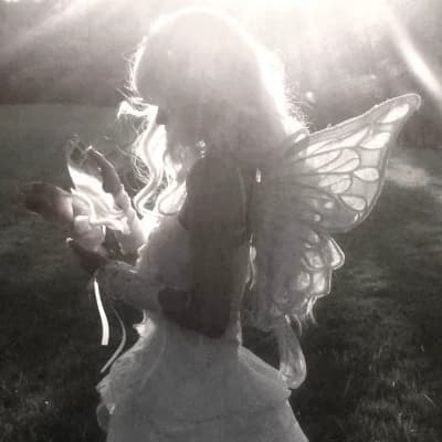 🌿 "The last fairy of the elven forest." 🌿 thumbnail