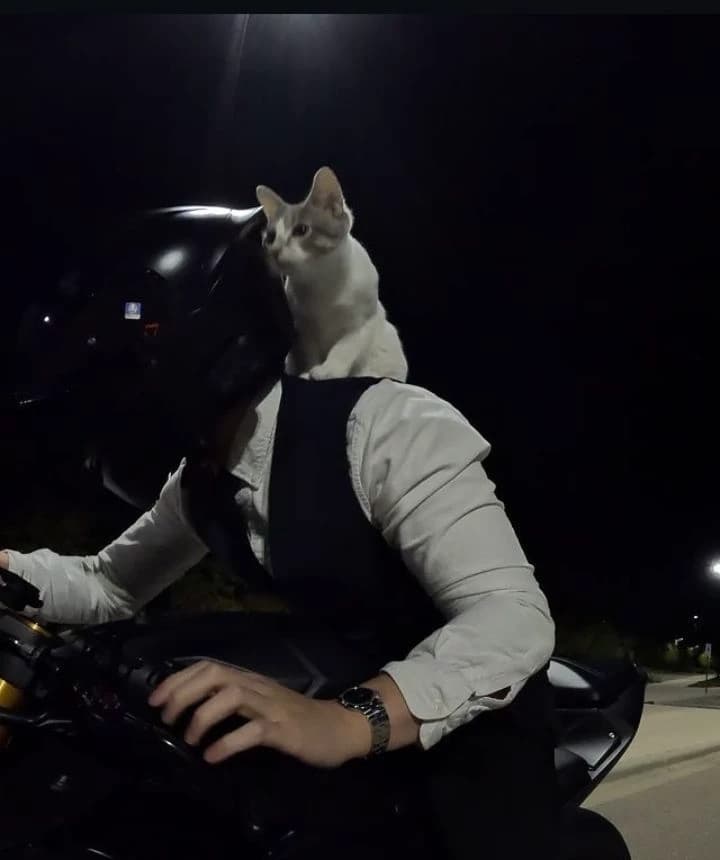 Alejandro (Biker Boy) thumbnail