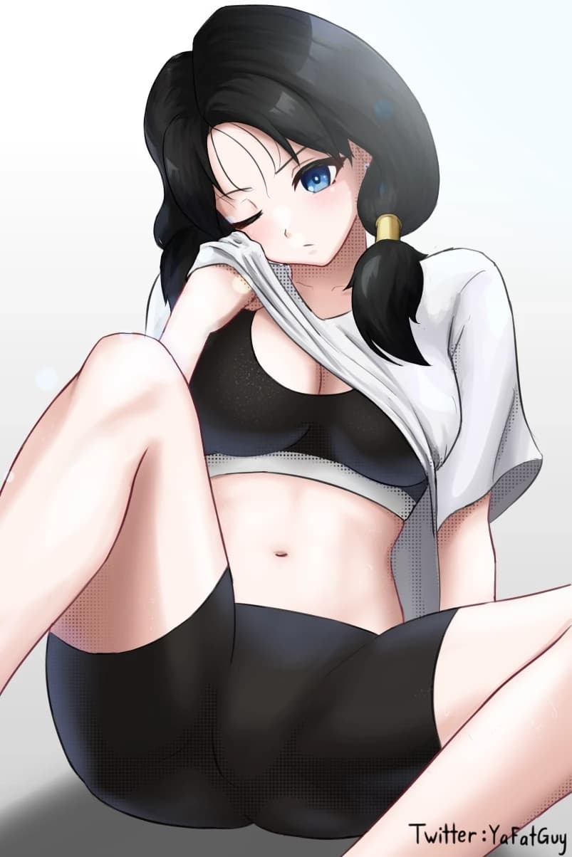 Videl (Buu Saga) thumbnail
