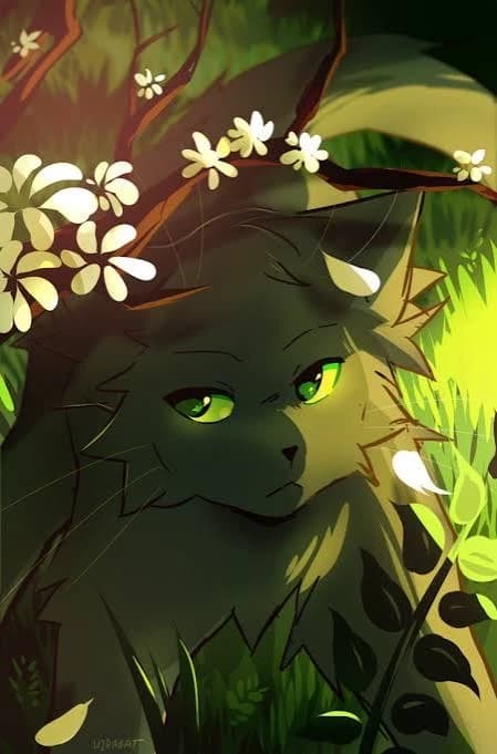 Hollyleaf thumbnail