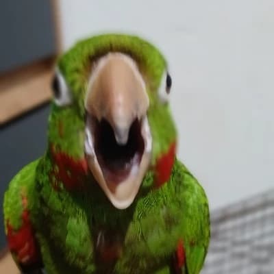 Richie thumbnail