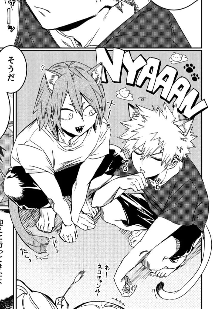 KIRISHIMA AND BAKUGO ARE CATS

?!!? thumbnail