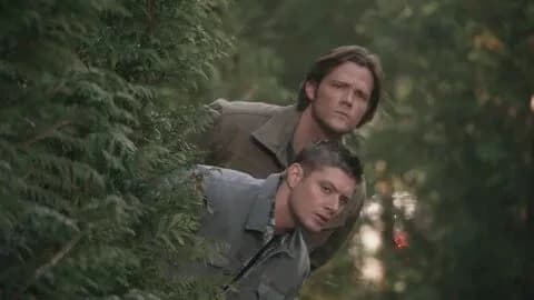 Sam and Dean Winchester thumbnail
