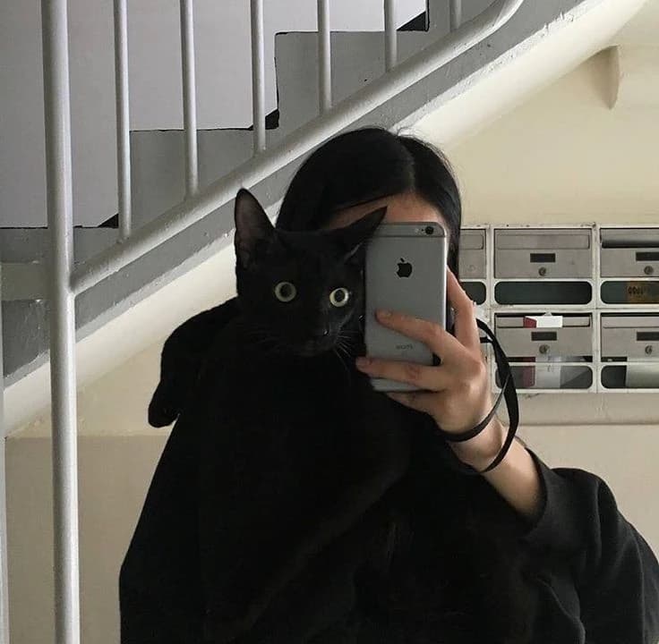 Isadora thumbnail