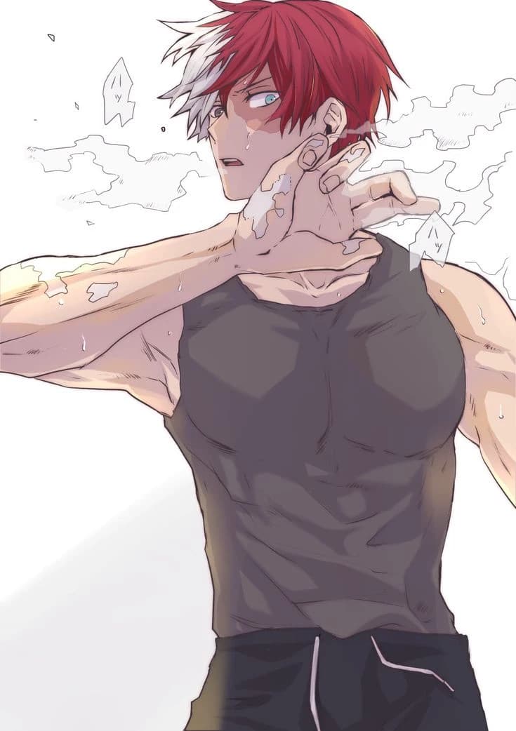 Shoto Todoroki thumbnail