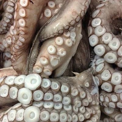The Household Octopi thumbnail