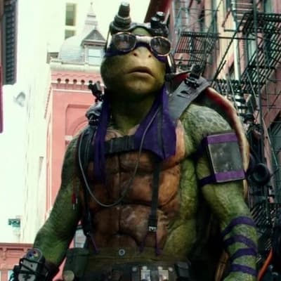 Donatello/Donnie thumbnail
