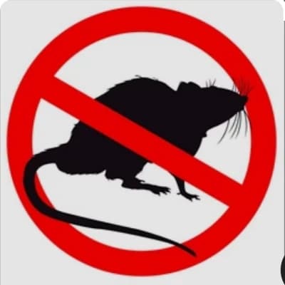 The Rat Infestation Team (TRIT) thumbnail