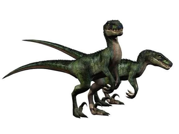Velocirraptor thumbnail