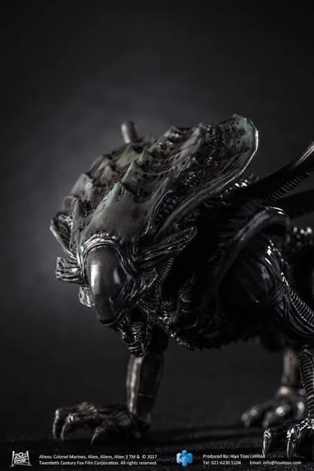 "Crusher" or also known as "Charger"! thumbnail