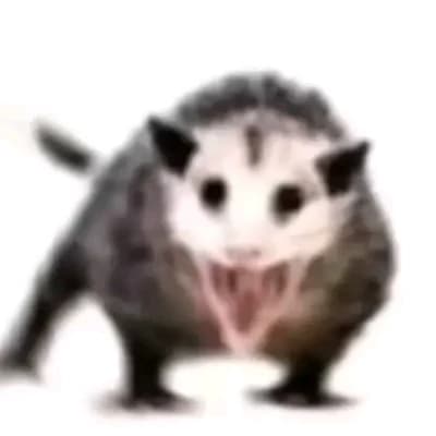 Skitter thumbnail