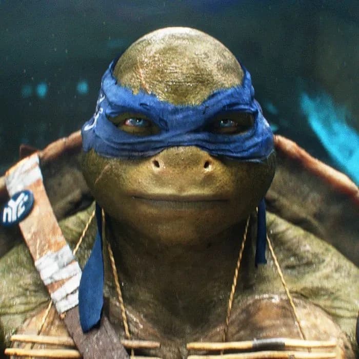 Leonardo Hamato thumbnail