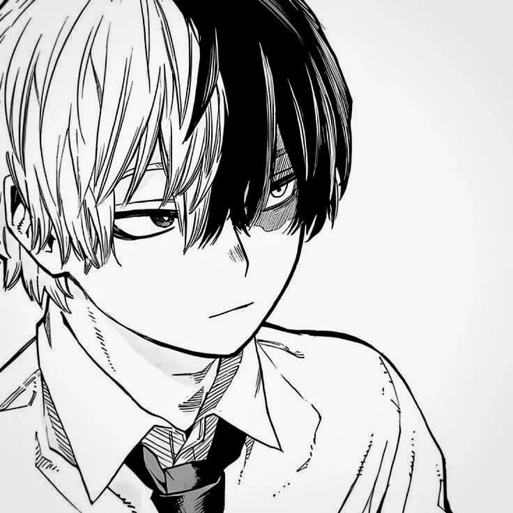 Todoroki Shoto | ⊹₊🔥⋆｡°✩ thumbnail