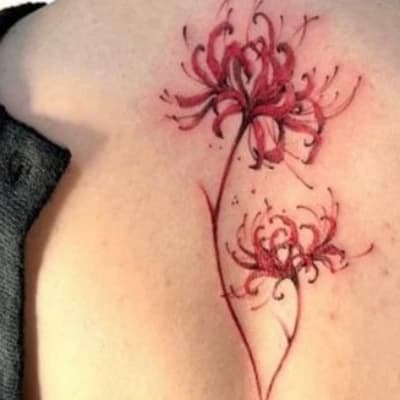 Aurelius Vandergeist thumbnail