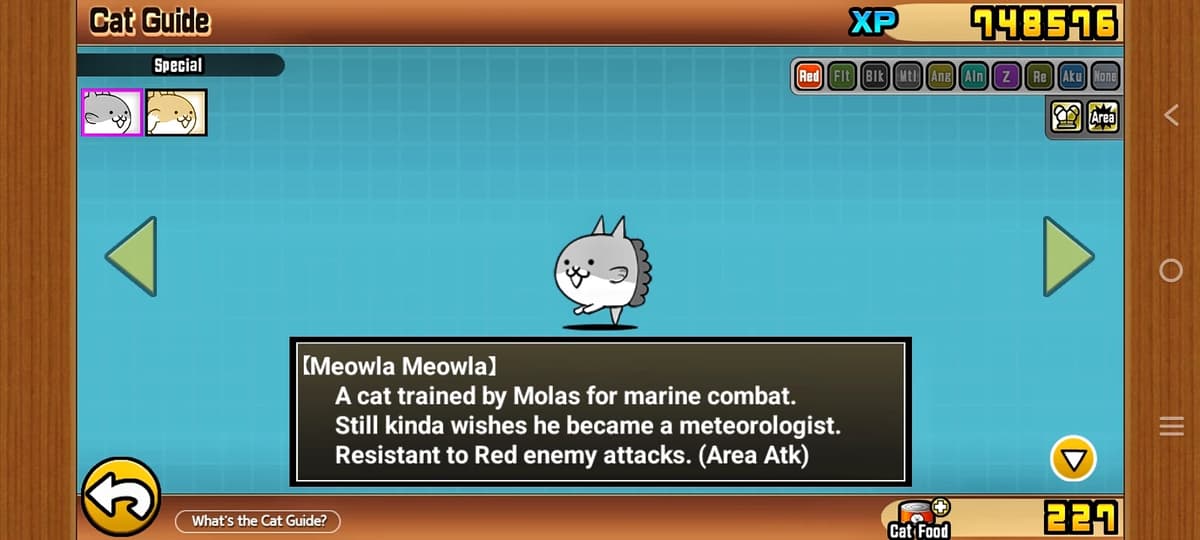Meowla Meowla thumbnail