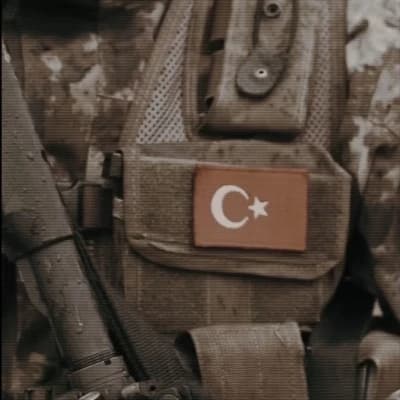 Timur Akyöz thumbnail