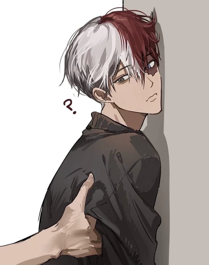 Shoto todoroki thumbnail