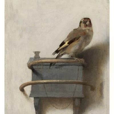 The Goldfinch  thumbnail