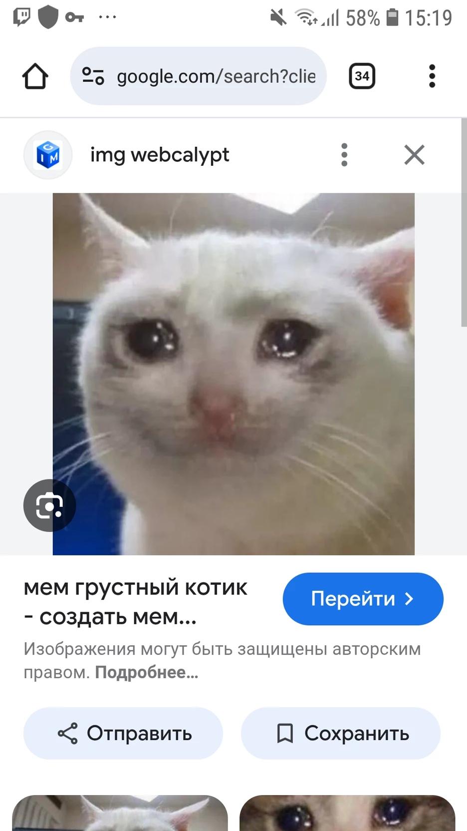 Sad cat thumbnail