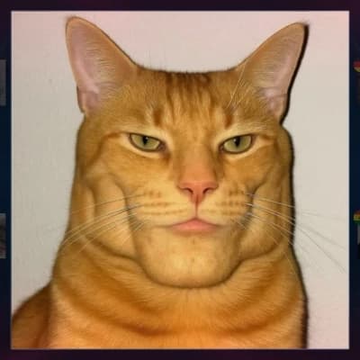 Hello, I am a Cat with mewing thumbnail