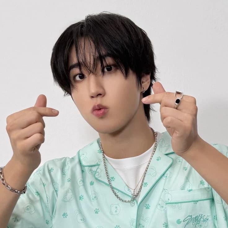 Han Jisung thumbnail