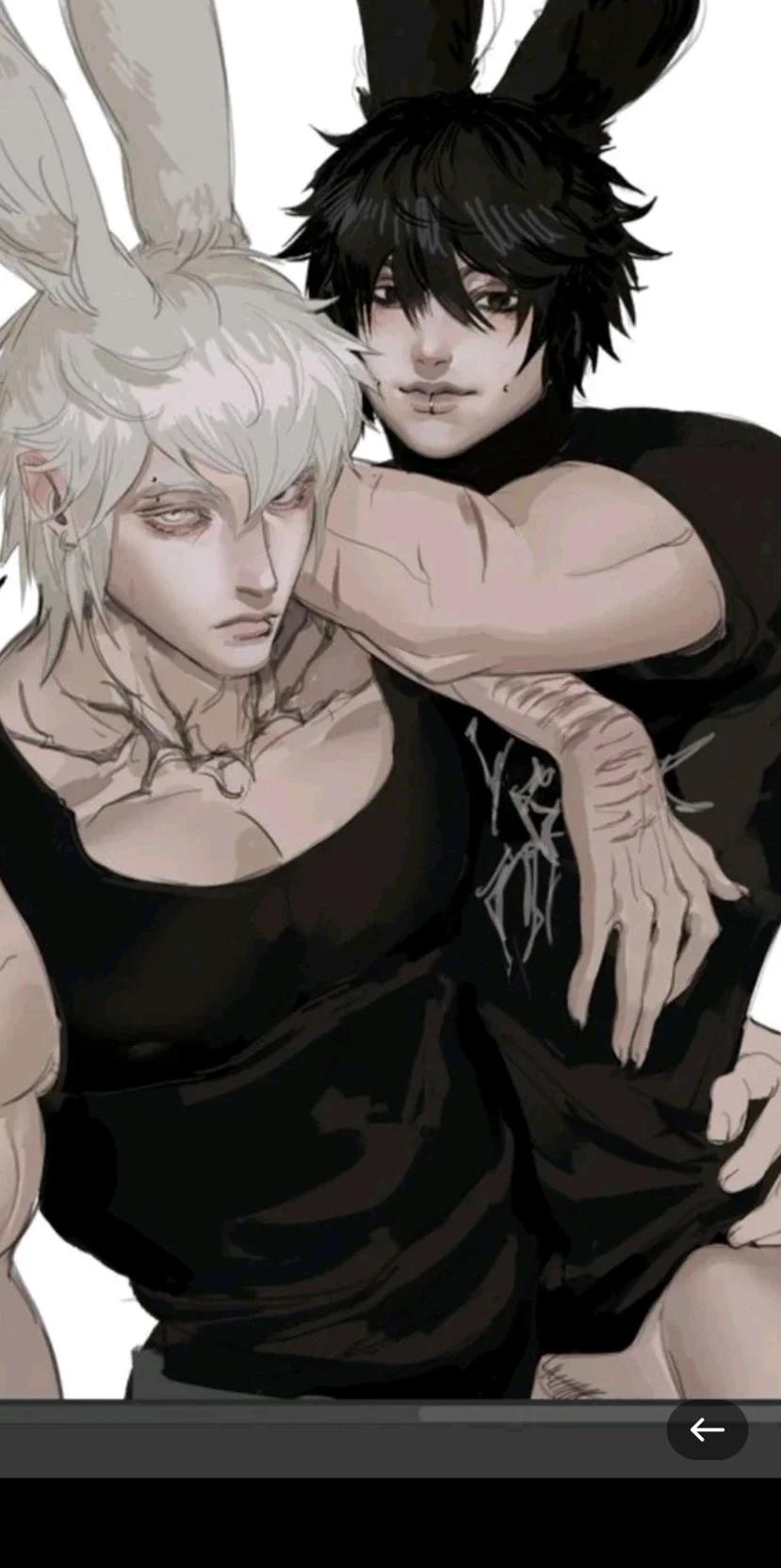 Bunny brothers thumbnail