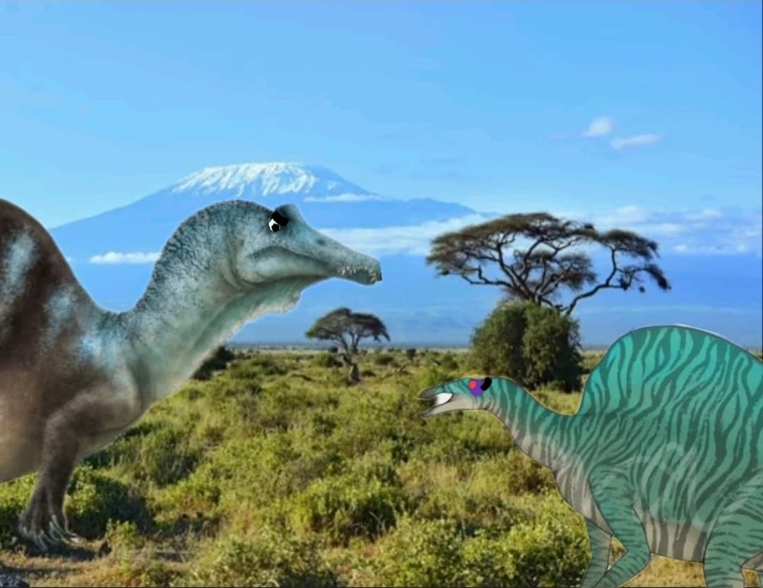 Snock x ourana thumbnail