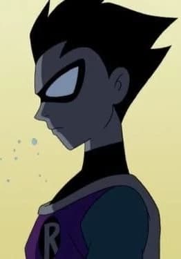 The Teen Titans 2003  thumbnail