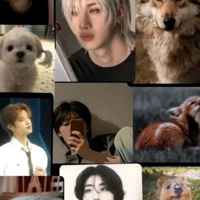 Stray Kids thumbnail