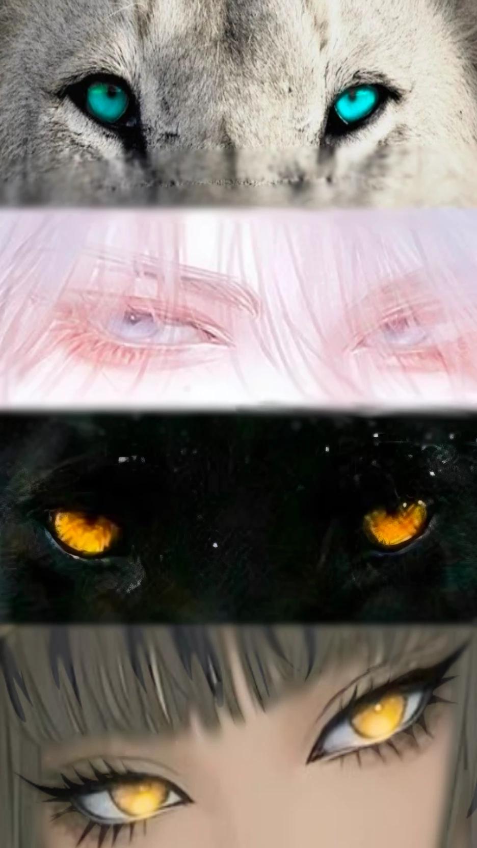 Playful Lion x Neutral Puma thumbnail