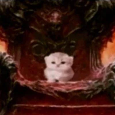 The kitten thumbnail