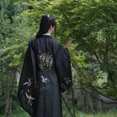 Wang Zhao thumbnail
