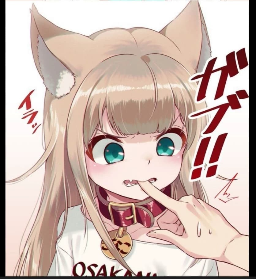 Nina (abandoned kitten) thumbnail