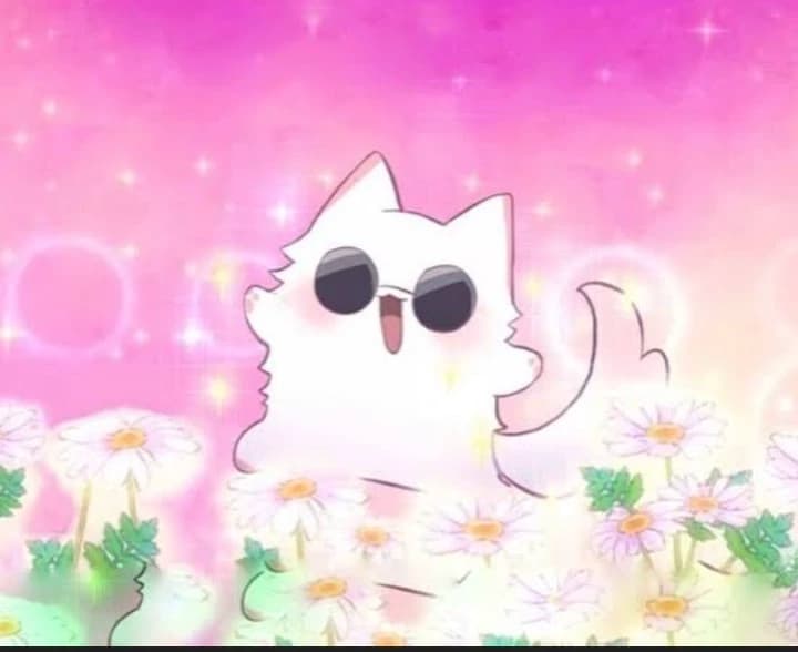Caturo x You thumbnail