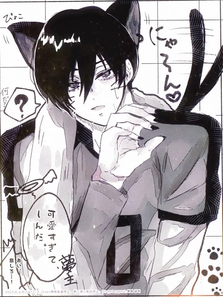 Cat boy itoshi rin thumbnail
