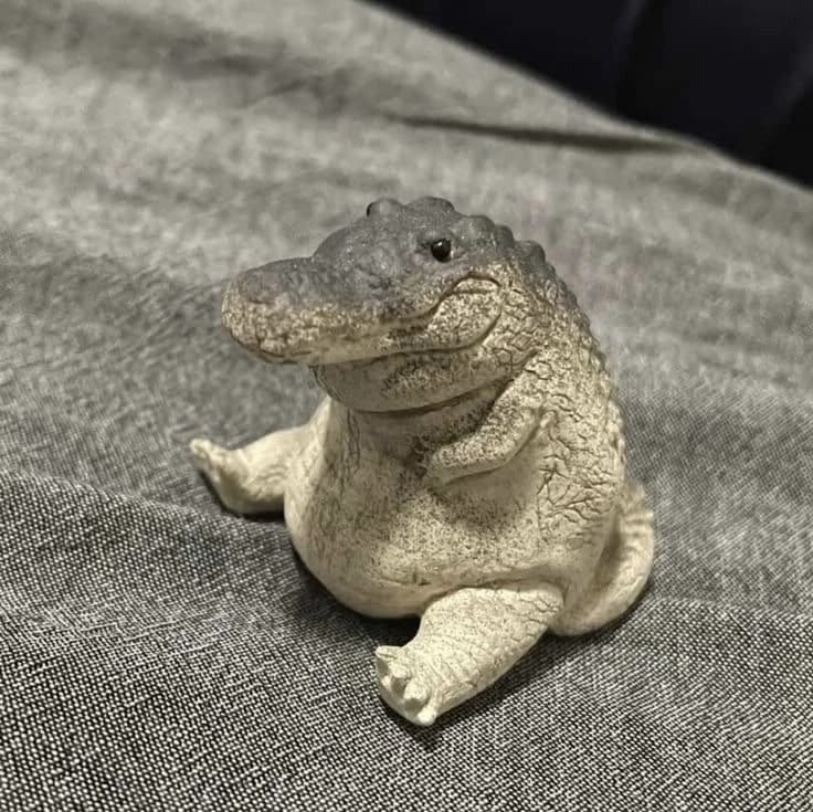 José (your pet crocodile) thumbnail