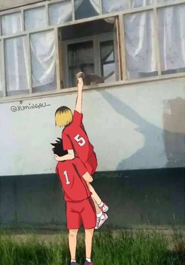 Kuroken — Kuro e Kenma. . thumbnail