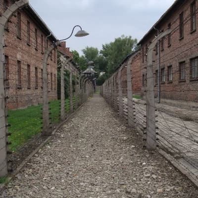 Camps d'Auschwitz thumbnail