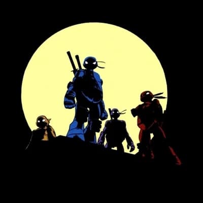 Teenage Mutant Ninja Turtles - TMNT thumbnail