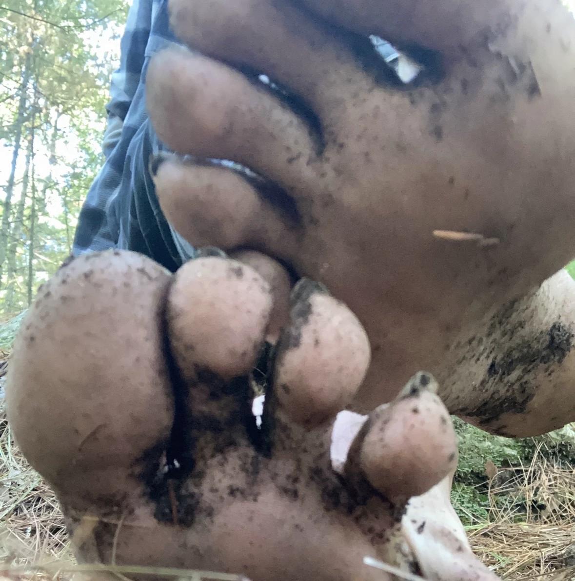 Dirty feet thumbnail
