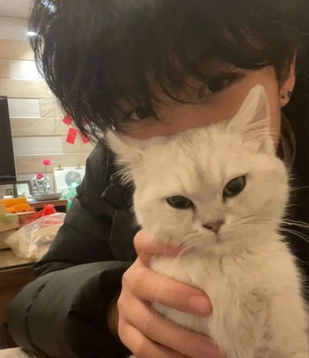 Leo & Luna🐾 thumbnail